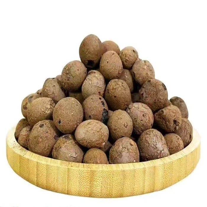 clay pebbles for plants